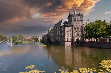 Den Haag von Brian Morgan