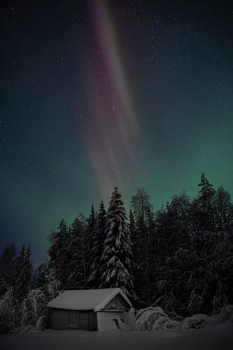 Magisch noorderlicht boven besneeuwd huisje in Zweden