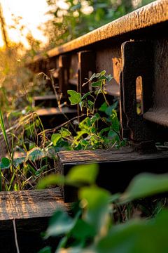 Voies ferrées recouvertes d'herbe sur Poster Art Shop