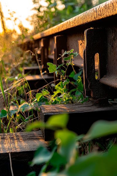 Eisenbahnschienen mit Grasbewuchs von Poster Art Shop