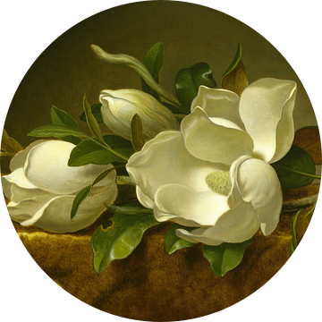 Magnolia's op goud fluwelen stof, Martin Johnson Heade...