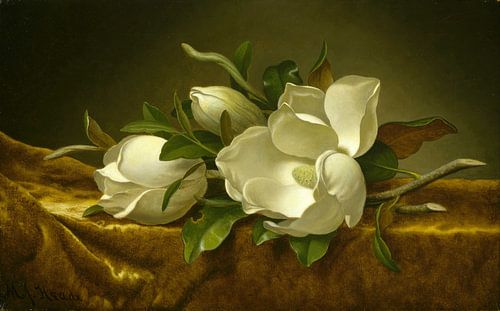 Magnolia's op goud fluwelen stof, Martin Johnson Heade...