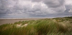 Strand und Dünen auf Ameland