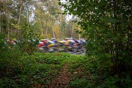 Ein Blick auf ein Radrennen von Pieter JF Smit