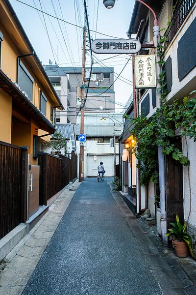 Japans straatje (Nara, Japan) van Jeffrey Schaefer