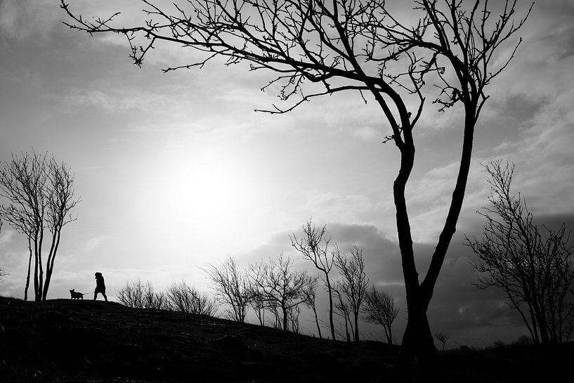 The dog walk by Heiko Westphalen