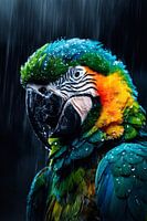 Impressionistischer Papagei im Regen