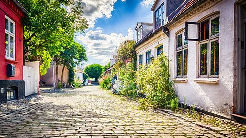 Straatbeeld van Møllestien