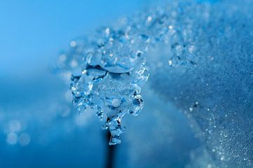 Eiskristall von FotoGraaG Hanneke