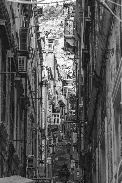 Presse | Dubrovnik par Femke Ketelaar
