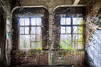 Verwitterte Fenster