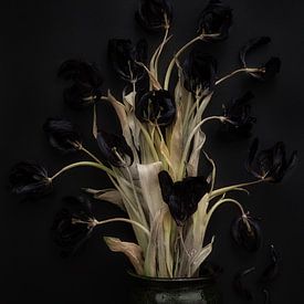 black on black by Karel Ham