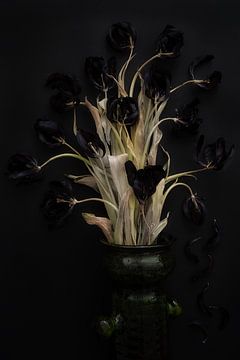 black on black by Karel Ham