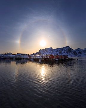 The sun dog. by Sven Broeckx