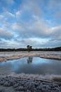 Winter op landgoed Heidestein Bornia in Driebergen Zeist van Peter Haastrecht, van thumbnail