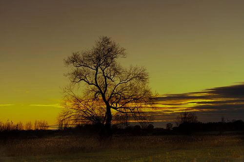laatste minuten van het licht