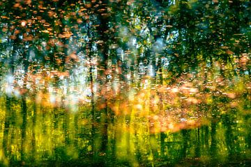 In het bos, abstract ICM van Yanuschka Fotografie | Noordwijk