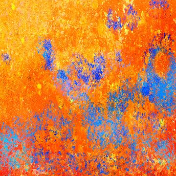 Oranje met blauw van Corinne Welp