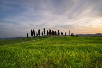 Toscane, Zonsopgang, Val d' Orcia