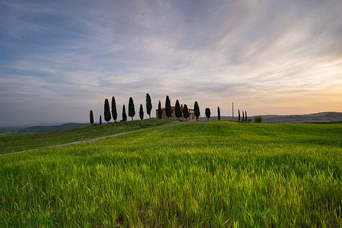 Toskana, Sonnenaufgang, Val d' Orcia