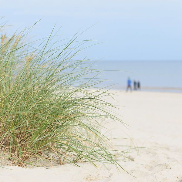 Baltic Sea beach on the coast of Swinoujscie in Poland by Heiko Kueverling