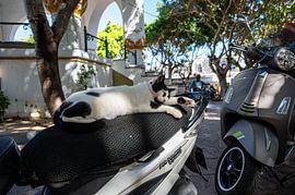 Serenity in the old town by Karsten Rahn