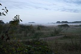 Foreland with fog on grass and heath in Denmark, in front of dunes. Mystical atmosphere by Martin Köbsch