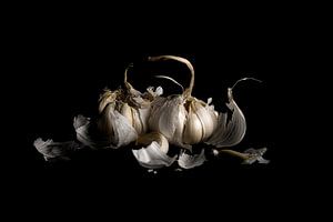 Knoblauch