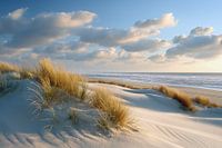 Sea and dunes
