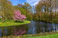 Voorjaar op Landgoed Baak, Nederland van Adelheid Smitt thumbnail