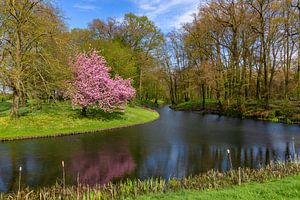 Printemps sur le domaine de Baak, Pays-Bas
