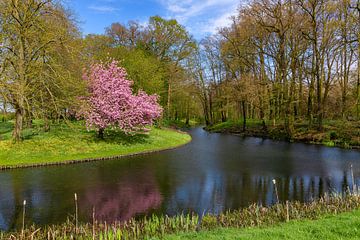 Voorjaar op Landgoed Baak, Nederland van Adelheid Smitt