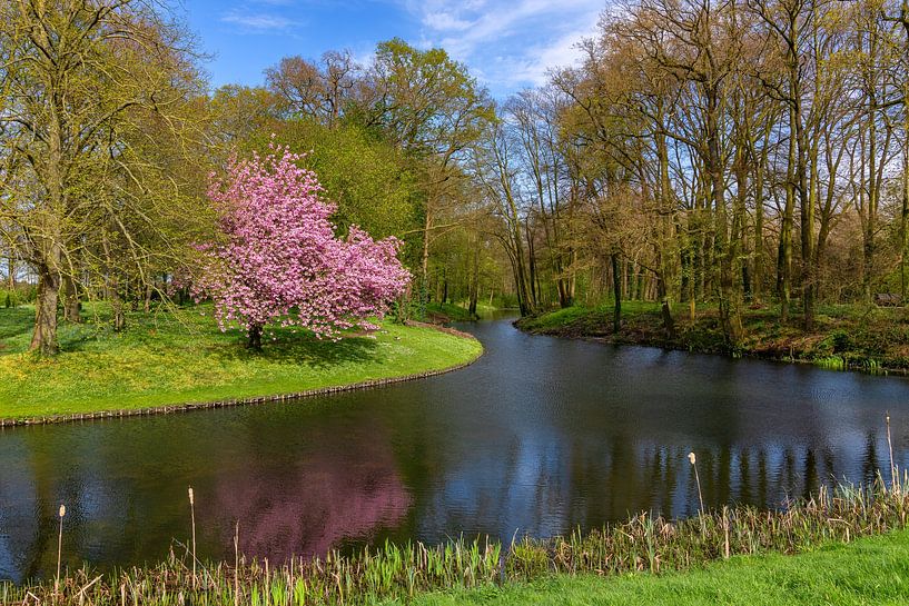 Voorjaar op Landgoed Baak, Nederland van Adelheid Smitt