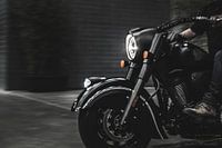 Indian Chief Dark Horse