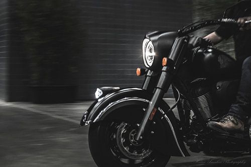 Indian Chief Dark Horse