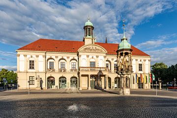 Altes Rathaus und Magdeburger Reiter in Magdeburg