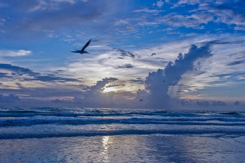 Heading home by Maria Ismanah Schulze-Vorberg