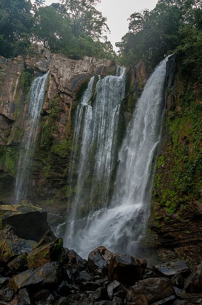 Costa Rica: Vergel de Punta Mala by Maarten Verhees