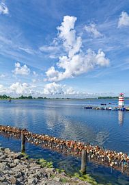 in Waase on the island of Ummanz by Peter Eckert