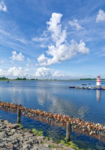 in Waase auf der Insel Ummanz von Peter Eckert