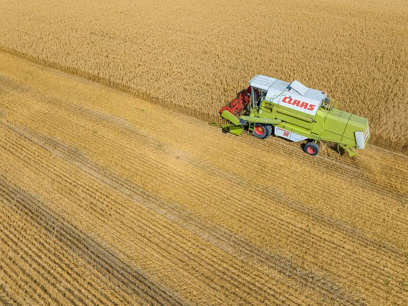 Tarweoogst in de zomer van bovenaf gezien van Sjoerd van der Wal Fotografie