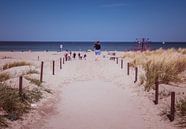 Strandweg an der Ostsee in Warnemünde von Animaflora PicsStock Miniaturansicht