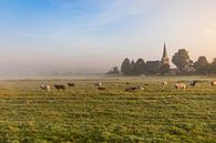 Hollands nevelig landschap met grazende schapen met op de achtergrond de stad IJlst in Friesland. Wo van Wout Kok thumbnail