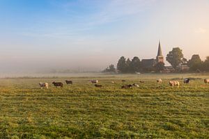 Hollands nevelig landschap met grazende schapen met op de achtergrond de stad IJlst in Friesland. Wo