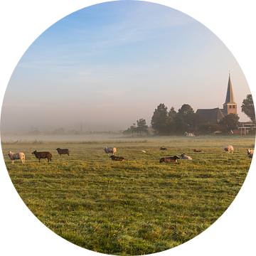Hollands nevelig landschap met grazende schapen met op de achtergrond de stad IJlst in Friesland. Wo van Wout Kok