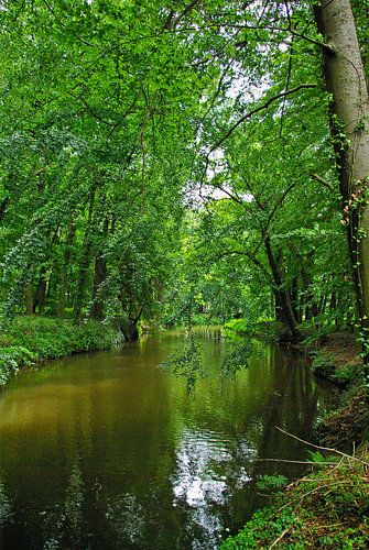 River landscape at the Hase