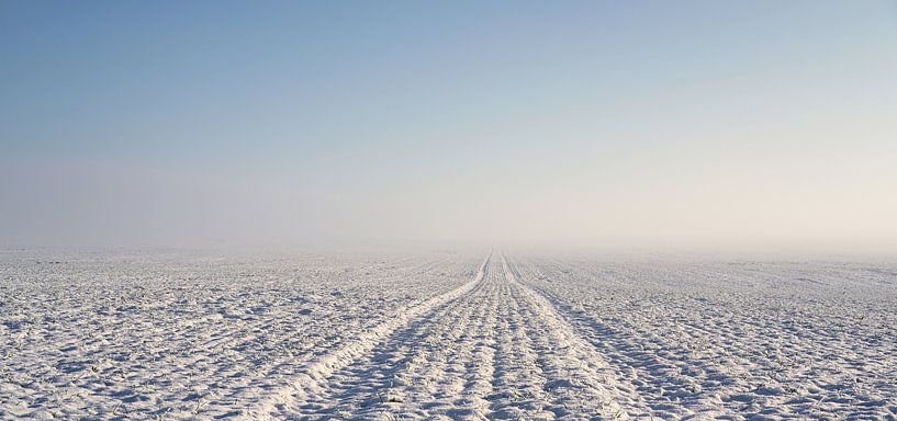 Tyre track in winter by Heiko Kueverling