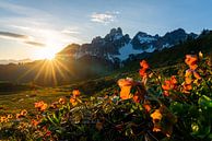 Berglandschap "Zonsondergang met rode rozen" van Coen Weesjes thumbnail