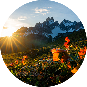 Berglandschap "Zonsondergang met rode rozen" van Coen Weesjes