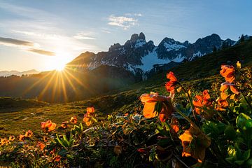 Berglandschaft "Sonnenuntergang mit roten Rosen" von Coen Weesjes
